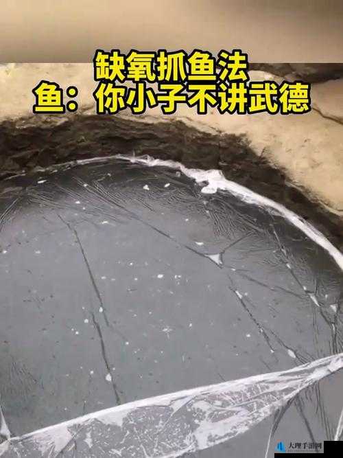 缺氧新手必备，高效抓鱼技巧与心得分享