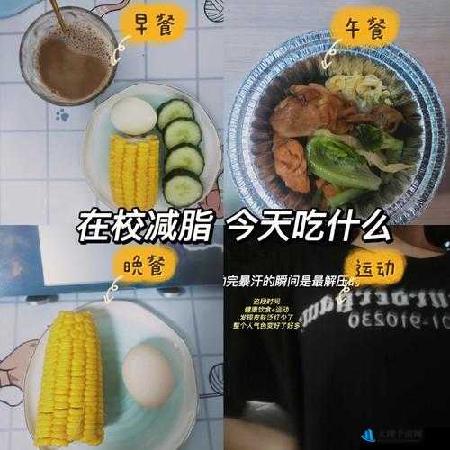 做运动磨豆浆视频拥有超多模：创新运动与健康生活的完美结合